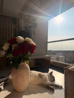 Photo de @Clementine_7