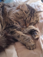 Photo de @maely_0528