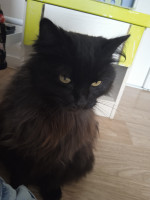 Photo de @maely_0528