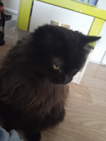 Photo de @maely_0528