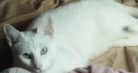 Photo de @Mimi_Lili