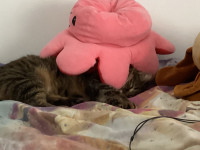 Photo de @ReNra_m78